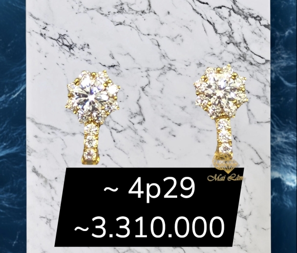 Bông Bật Xoàn Tấm