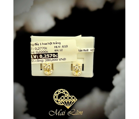 Bông Đẩy Hoa Hột 